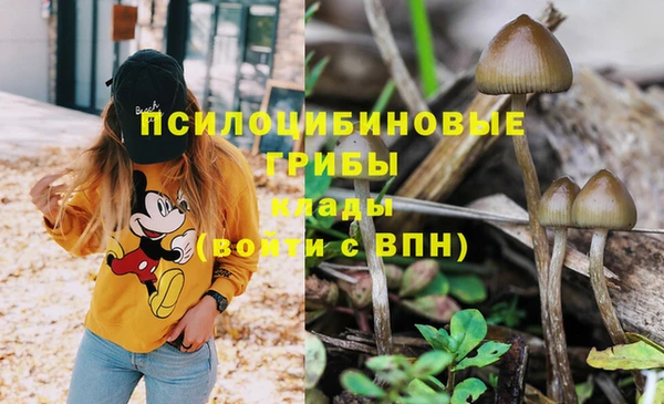 ешки Вязьма