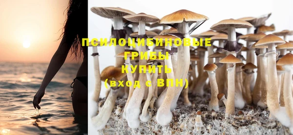 PSILOCYBIN Кадников