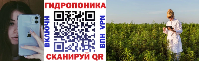 Бошки Шишки ГИДРОПОН  OMG зеркало  Облучье 